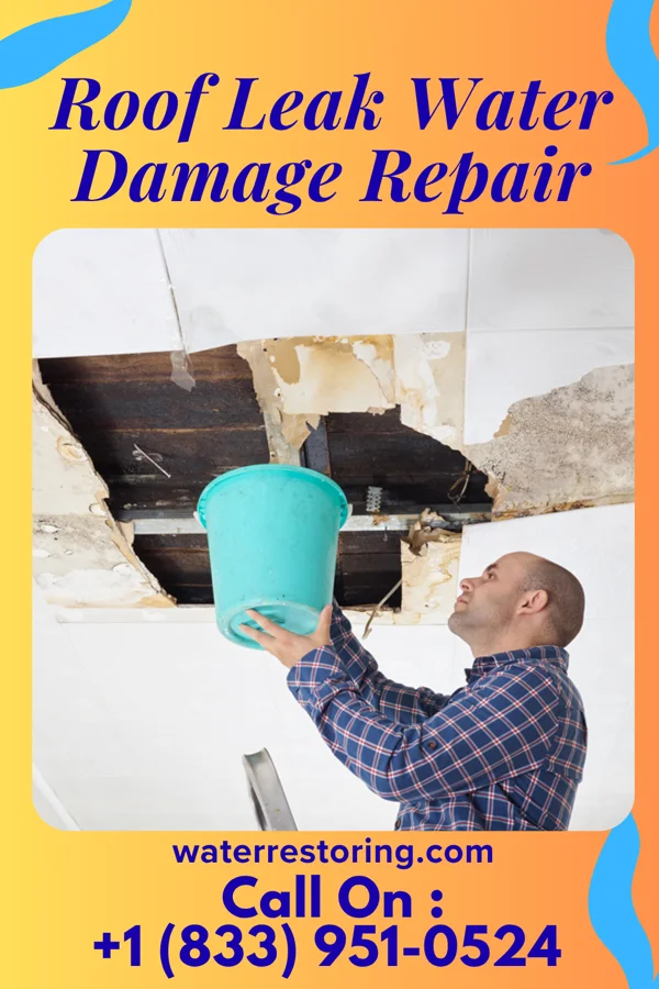 Roof Leak Water Damage Repair in Wheeler, WI