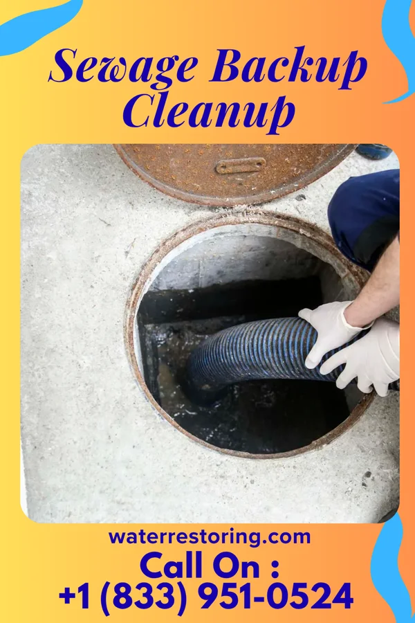 Sewage Backup Cleanup in Wheeler, WI